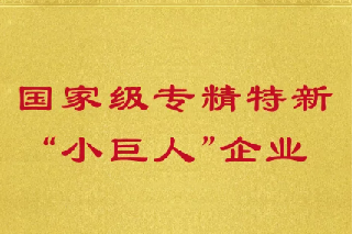 長隆科技入選第四批 國家級專精特新“小巨人”企業
