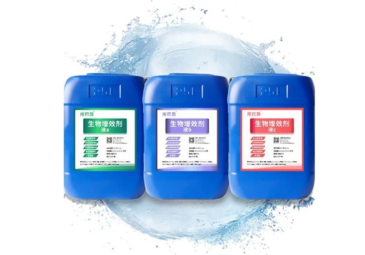 庫巴魯團(tuán)隊(duì)研發(fā)的生物增效劑(菌)